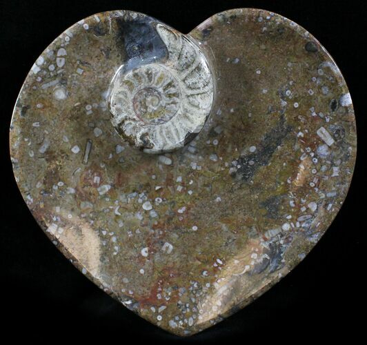 Heart Shaped Fossil Goniatite Dish #26194